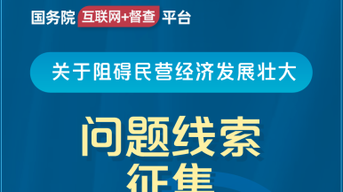 日韩操逼网站国务院“互联网+督查”平台公开征集阻碍民营经济发展壮大问题线索